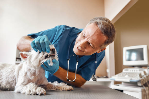 Best 24-Hour Emergency Dentist in Newport, RI